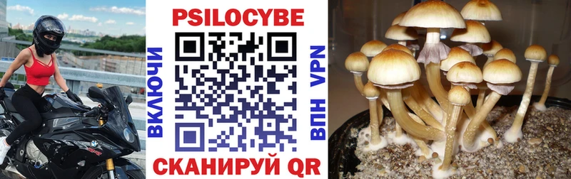 Псилоцибиновые грибы MAGIC MUSHROOMS  Шагонар 